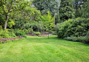 Optimiser l'expérience du jardin à Saint-Nicolas-de-Bourgueil